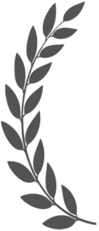 BASED Bodyworks — Natural Hair Products for Men — Darkgreygreek